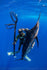 products/10422135_872500712841740_7781707756593316660_n.jpg
