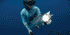 products/GL-CR01-pa.gif