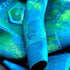 products/Neptonics-Quantum-Stealth-Wetsuit-5sm-300x300.jpg
