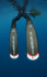 products/T4L.jpg