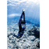 products/Torelli-EveSaumarez3.gif