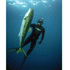 products/Torelli-Ninja3.gif