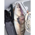 products/skinnyfloat2.png